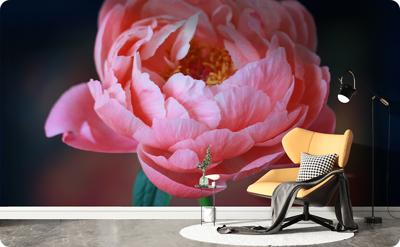 Floral 3D Peony Wallpaper Mural