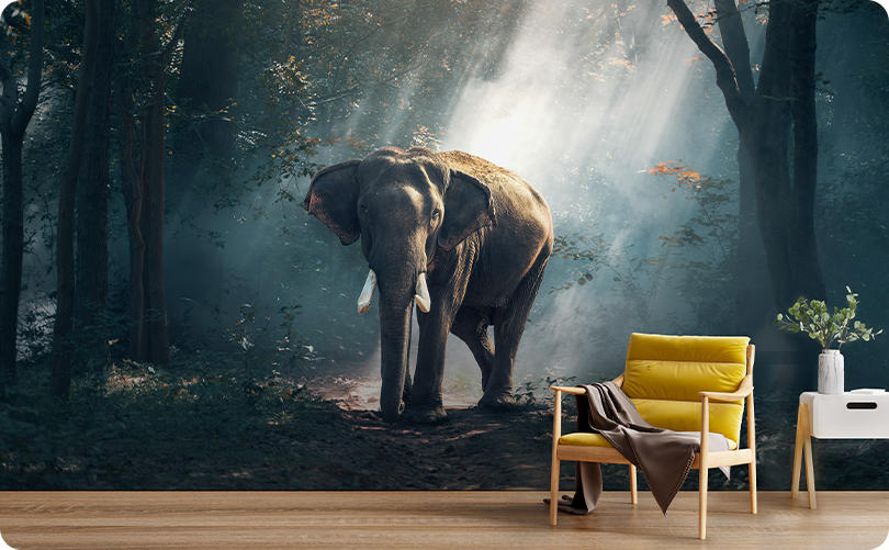 Animal Elephant Wallpaper Mural