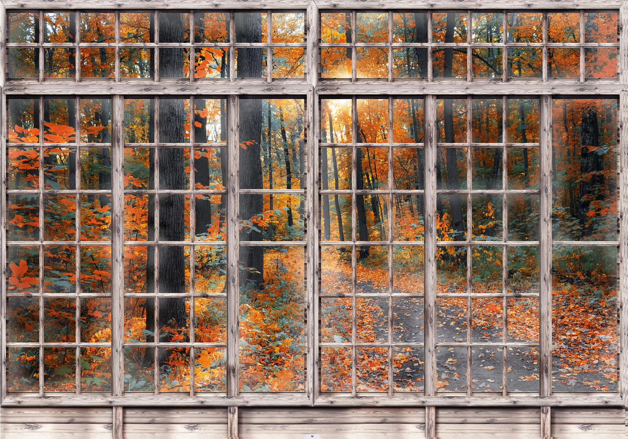 Window View Autumn Forest Red Wallpaper Mural