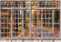 Window View Autumn Forest Red Wallpaper Mural