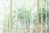 Window View Green Bamboo Wallpaper Mural