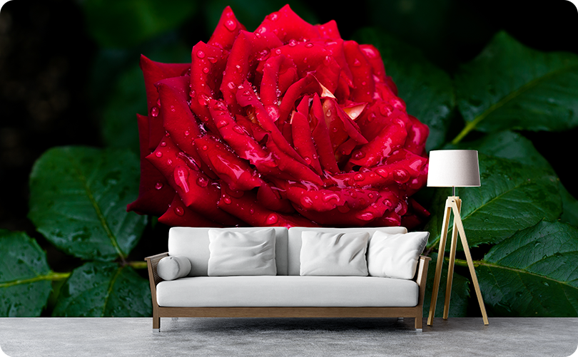 Floral 3D Red Rose Wallpaper Mural