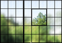 Window View Greenprint Black Wallpaper Mural