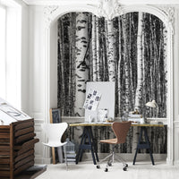 Forest Black and White Tree Wallpaper Mural