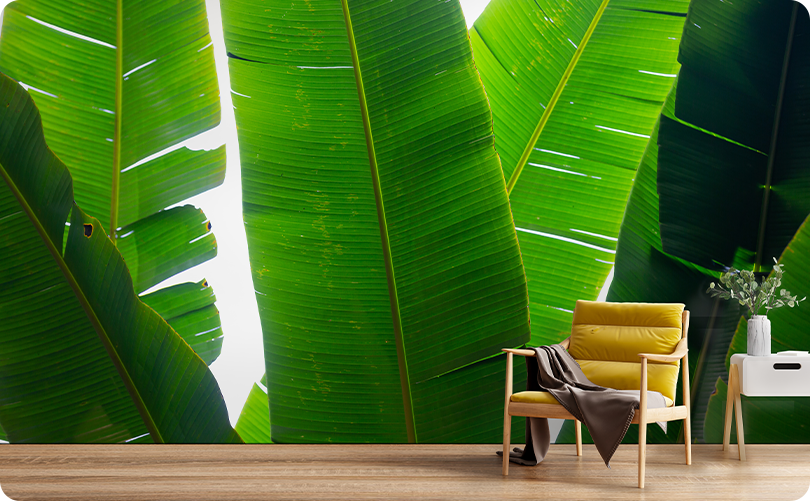 Leaves  Banana Wallpaper Mural