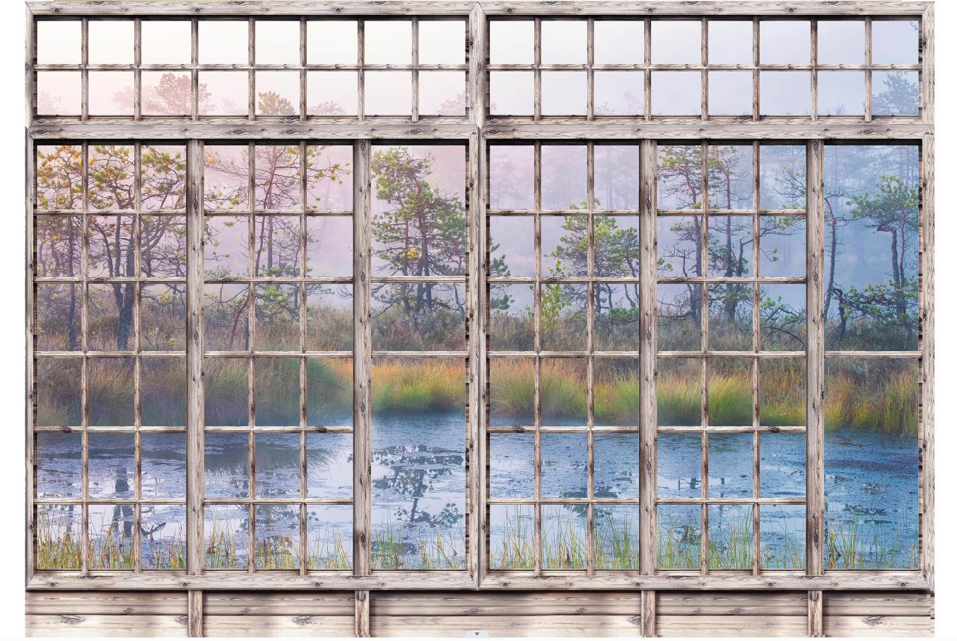 Window View Wetland Park Wallpaper Mural