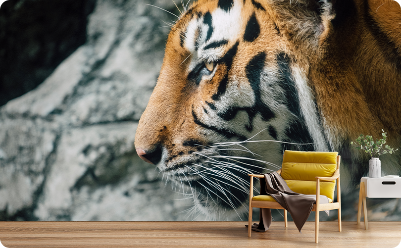 Animal Tiger Wallpaper Mural