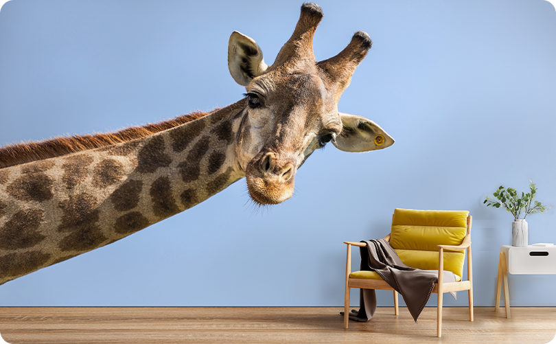 Animal Giraffe Wallpaper Mural