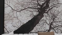 Forest Twigs Tangled Together Wallpaper Mural